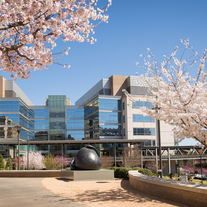 UNC Fertility Preservation Program